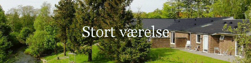 stort_vaerelse-htm_cmp_kopi-vasenti010_bnr
